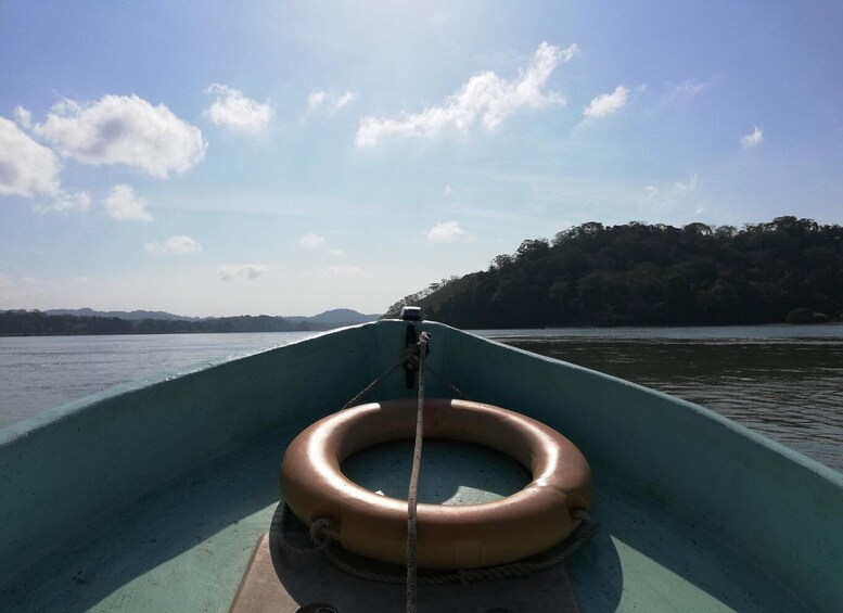 Picture 5 for Activity Monkey Islands & Eco Cruise Tour inside the Panama Canal