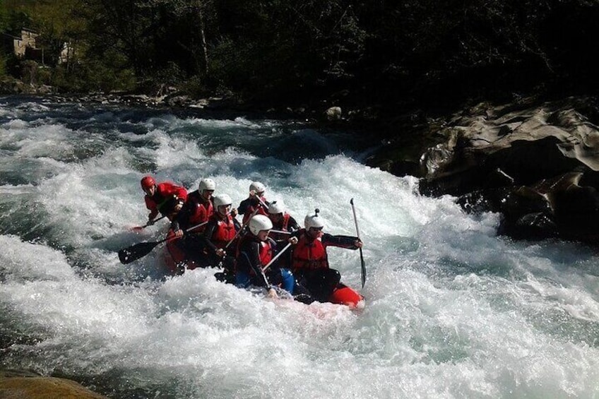 Very good paddlers in action