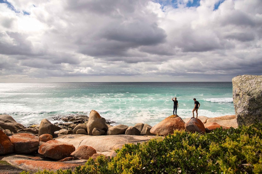 Picture 2 for Activity From Launceston: Bay of Fires Hiking Tour - 4 Days