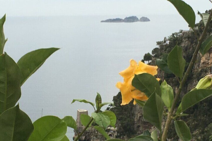Li Galli island.
View from Positano