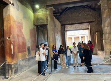 Pompeji: Private Skip-the-Line-Tour mit Archäologenführer