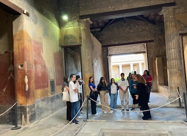 Pompeii: Skip-the-Line Private Tour with Archaeologist Guide