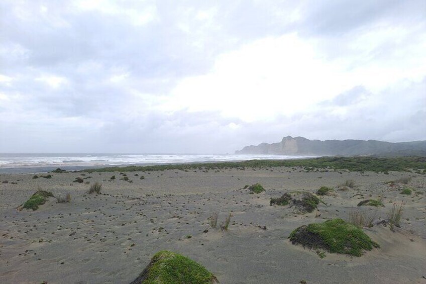 Private Hiking Activity 8 hours Pacific Sea Route in Cucao