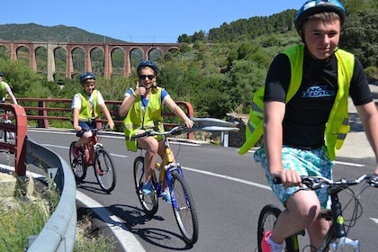 Half-Day Bike Tour of Tarragona with Olive Oil Tasting