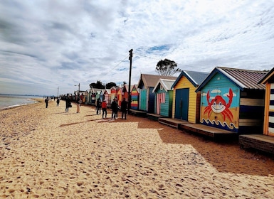 Melbourne 3-stündige Kleingruppentour mit Strandboxen