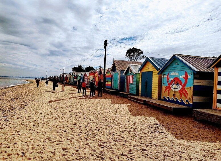 Melbourne 3-Hour Small Group Tour with Beach Boxes