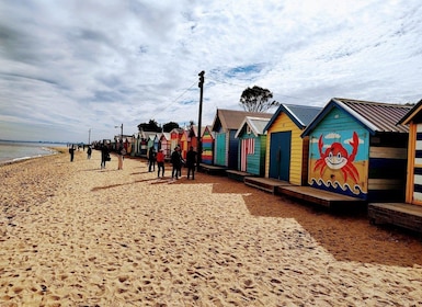 Melbourne 3-stündige Kleingruppentour mit Strandboxen
