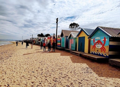 Tur Kelompok Kecil 3 Jam di Melbourne dengan Kotak Pantai