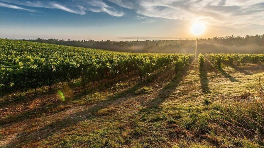 Valpolicella