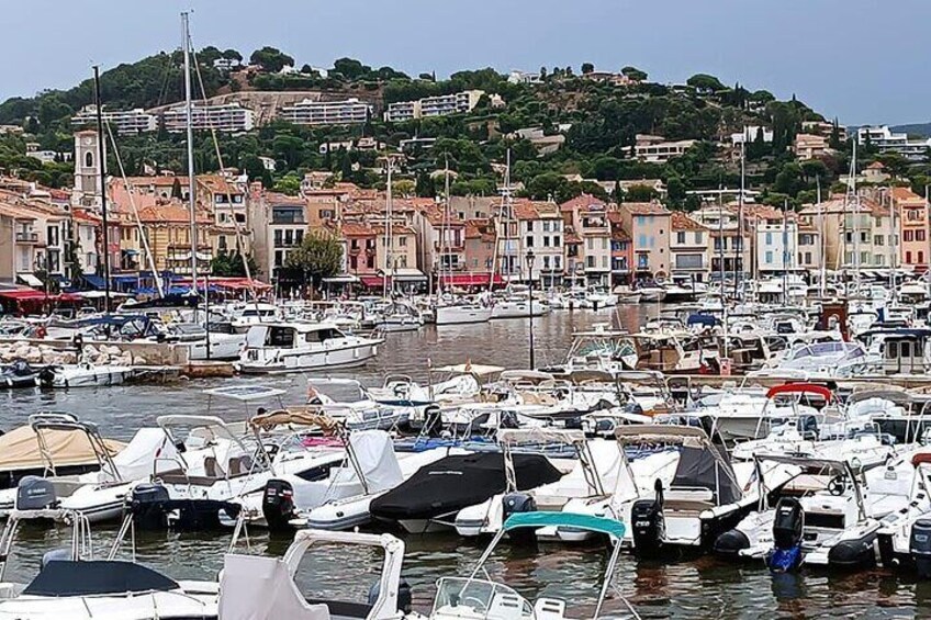 Marseille and Cassis Private Full-Day Tour