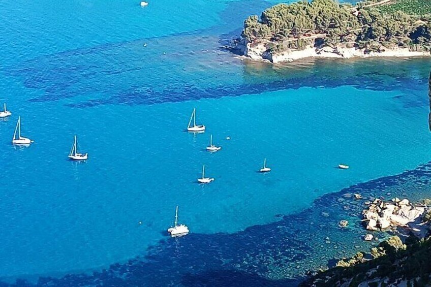 Cassis from Cap Canaille