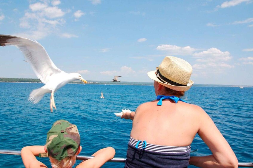 Picture 13 for Activity Pula: Brijuni National Park Tour with Island Visit