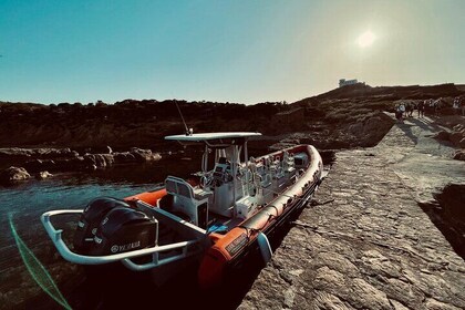 Discovery of the Sanguinaires Islands by boat, swimming, aperitifs with loc...