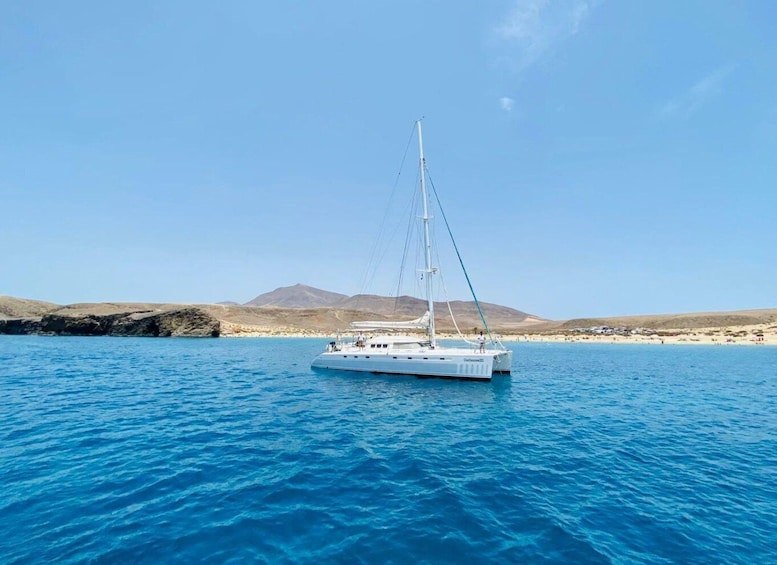 Picture 6 for Activity Lanzarote: Catlanza Gold Sailing Day Trip With Lunch