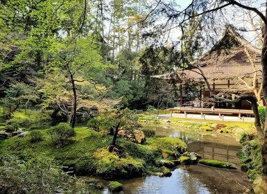 京都：銀閣寺、哲學家之路和南禪寺之旅