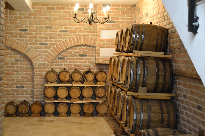 Rasnov: A town's hidden tales