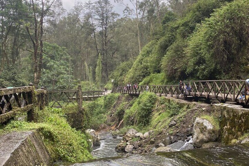 Otavalo, Peguche, Family Local Experience.