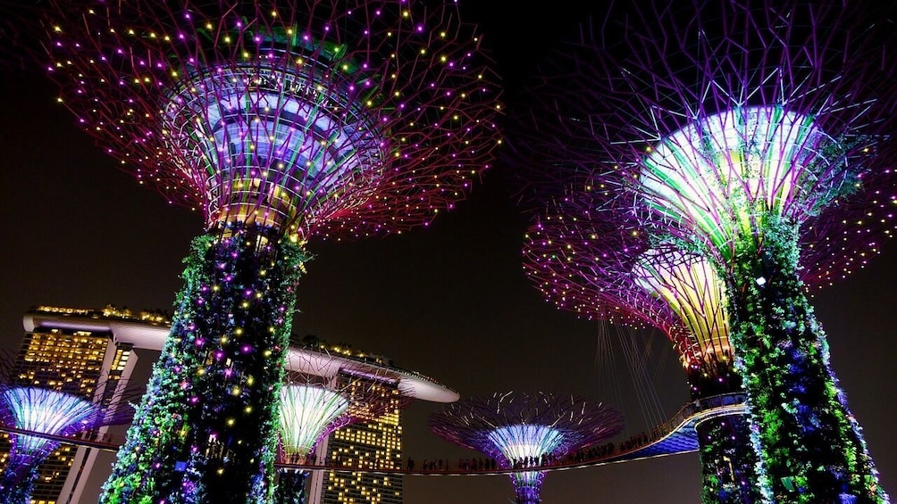 Singapore: Gardens by the Bay Admission E-Ticket