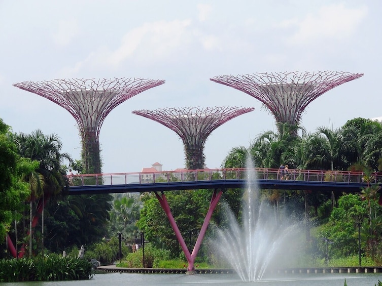 Singapore: Gardens by the Bay Admission E-Ticket