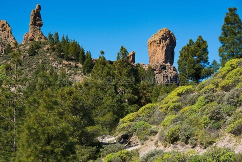 hiking gran canaria