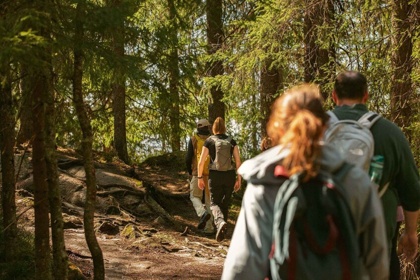 Picture 1 for Activity Oslo: Vettakollen Hike with Oslofjord View