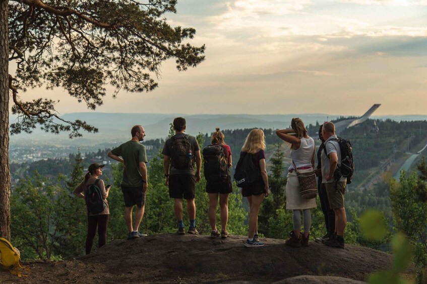 Picture 4 for Activity Oslo: Vettakollen Hike with Oslofjord View