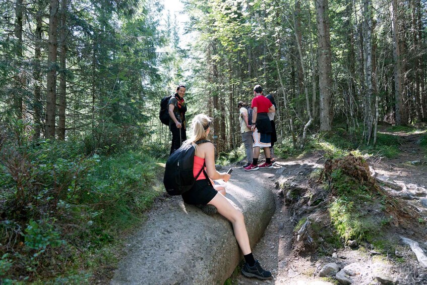 Picture 7 for Activity Oslo: Vettakollen Hike with Oslofjord View