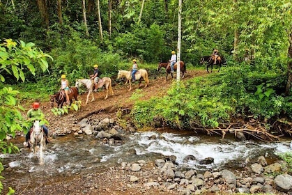 Educational Walk in the Rainforest Waterfall and Horse Ride