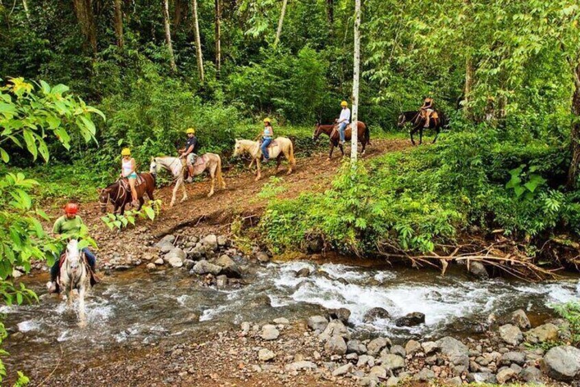 Educational Walk in the Rainforest Waterfall and Horse Ride