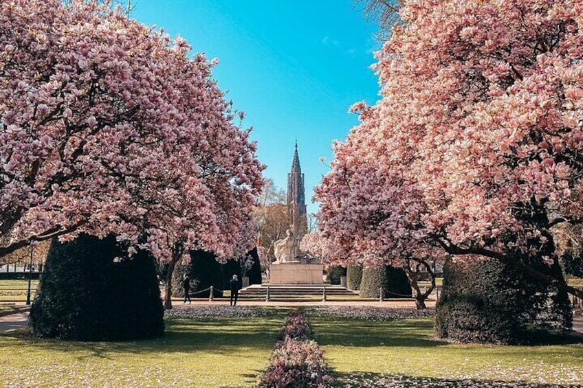 Guided Walking Tour in Strasbourg between History and Curiosities