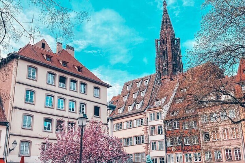 Guided Walking Tour in Strasbourg between History and Curiosities