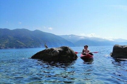 Wild Kayak 3-Hour Tour from Monterosso to Punta Mesco with Snorkeling