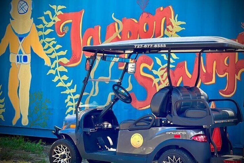 Street Legal Golf Cart 4-Hour Rental in Tarpon Springs