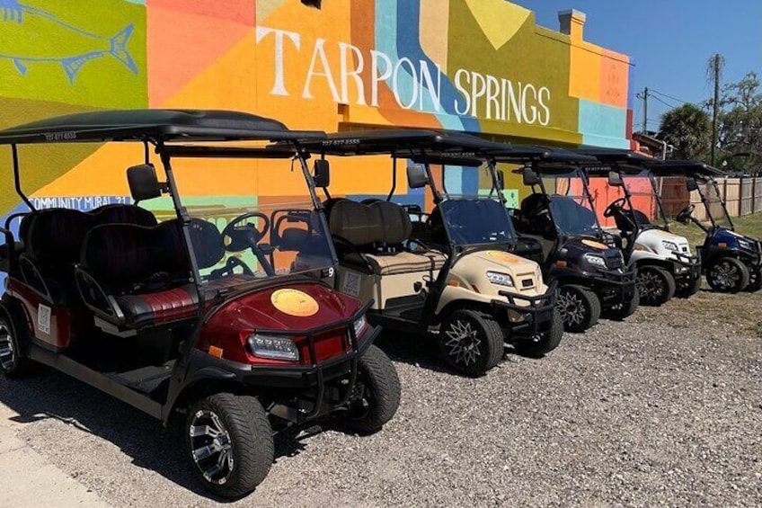 Street Legal Golf Cart 4-Hour Rental in Tarpon Springs