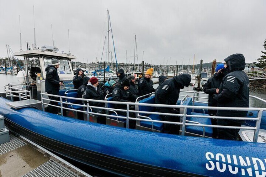 Half-Day Anacortes Whale and Wildlife Watching Guided Adventure 