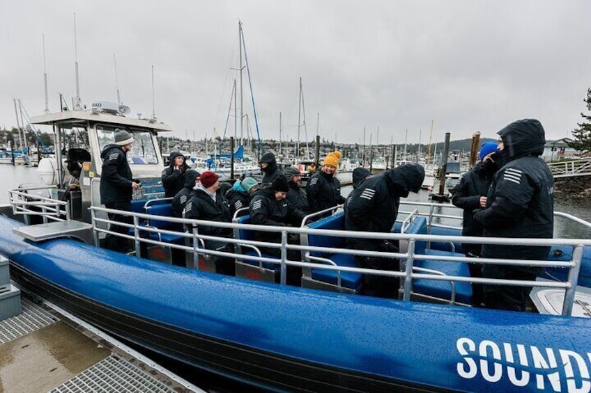 Half-Day Anacortes Whale and Wildlife Watching Guided Adventure