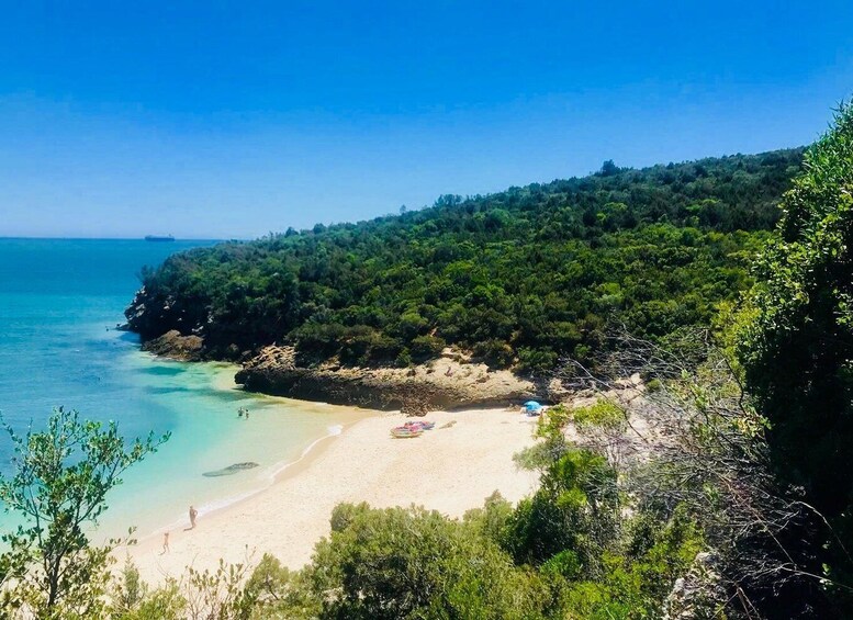 Picture 12 for Activity From Lisbon: Arrábida Natural Park Kayak Tour with Lunch