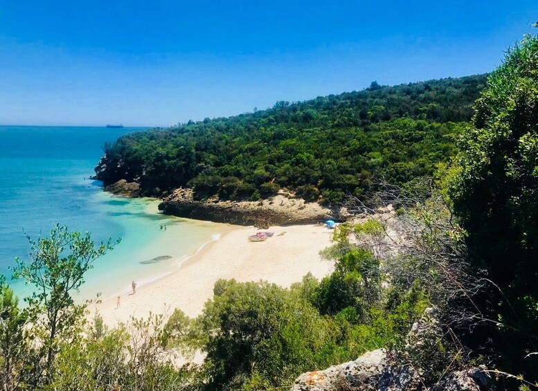 Picture 12 for Activity From Lisbon: Arrábida Natural Park Kayak Tour with Lunch