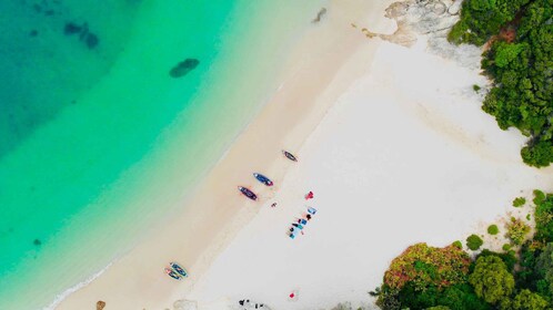 Depuis Lisbonne : Excursion en kayak dans le parc naturel d'Arrábida avec d...