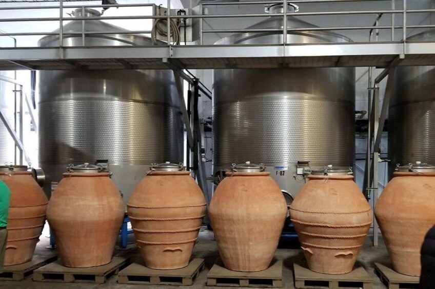 Clay Amphoras at Cline
