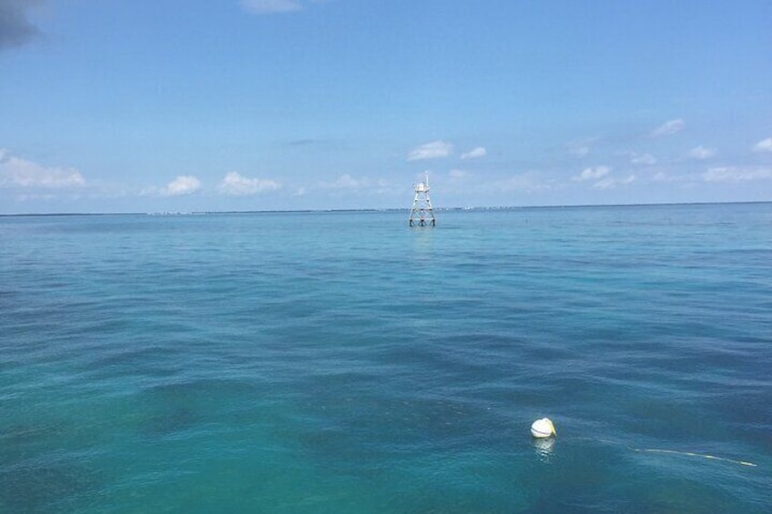 Molasses Tower in the distance