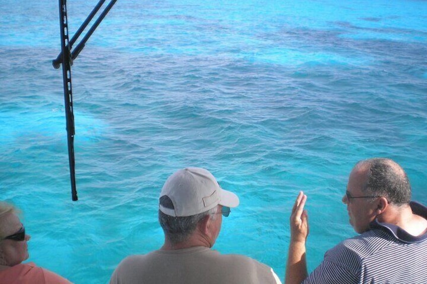 Enjoying the view from the front topside