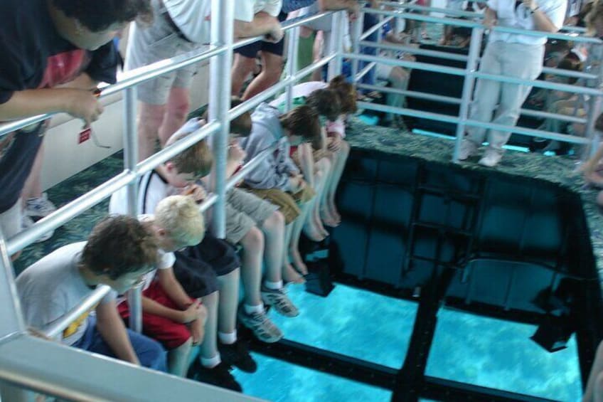 Key Largo Coral Reef Glass Bottom Boat Adventure 