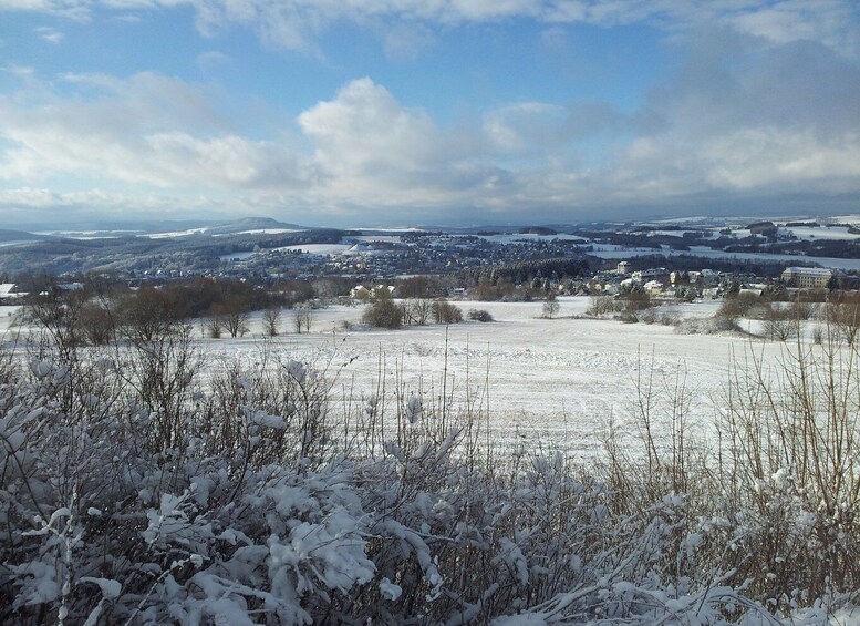 Picture 7 for Activity From Leipzig: Christmassy Day-Trip to the Ore Mountains