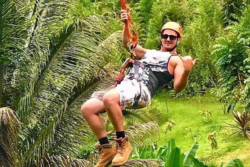 5 Line Jungle Zipline Eco Adventure