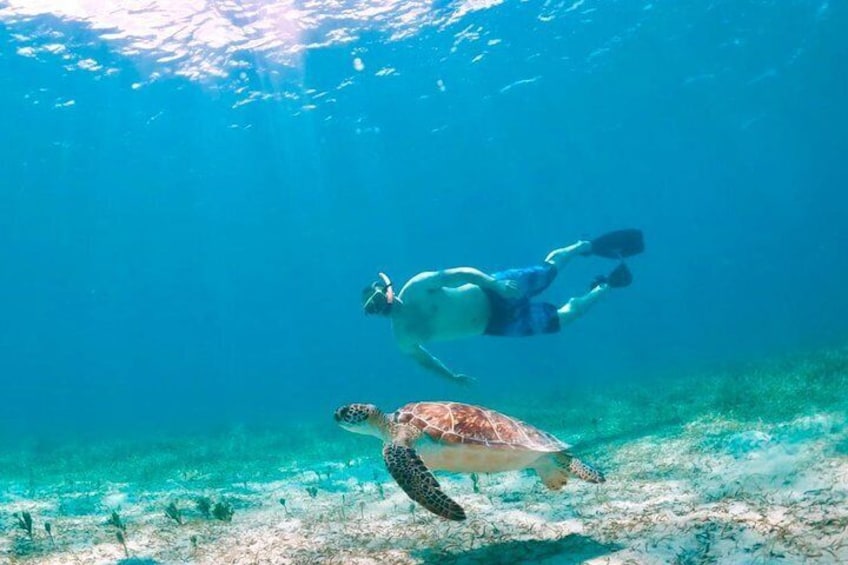 and Unique Underwater Encounters.