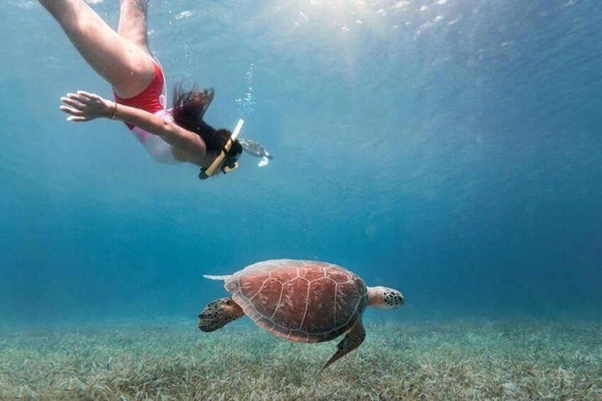 Culebra Island Kayak & Snorkel with Turtles Adventure - Ferry Tickets Included