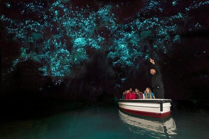 霍比特電影集和來自奧克蘭的小組遊覽 Waitomo Caves