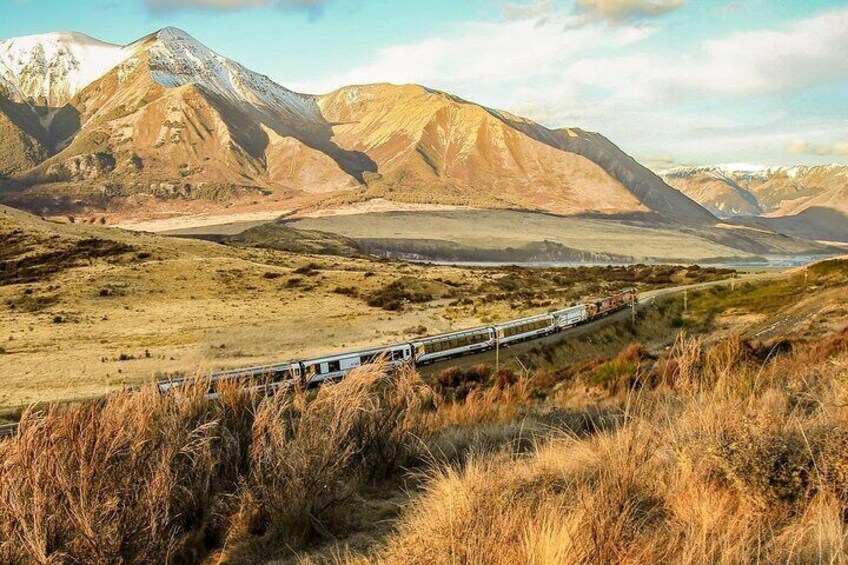 Arthur's Pass and TranzAlpine Train Day Tour from Christchurch