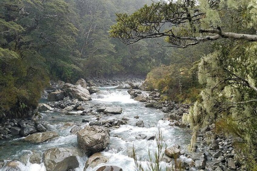 Arthur's Pass National Park with TranzAlpine Train Tour from Christchurch